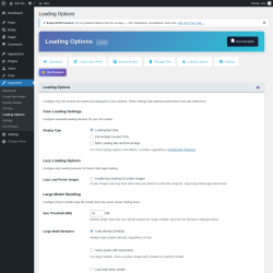 Page screenshot: ExploreXR &rarr; Loading Options