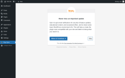 Page screenshot: Etsy Sync &lsaquo; Test site &mdash; WordPress