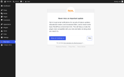 Page screenshot: Etsy Sync &lsaquo; Test site &mdash; WordPress