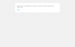 Page screenshot: WordPress › Error