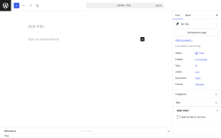 Page screenshot: Add Post &lsaquo; Test site &mdash; WordPress