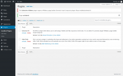 Page screenshot: Plugins &lsaquo; Test site &mdash; WordPress