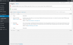 Page screenshot: Plugins &lsaquo; Test site &mdash; WordPress
