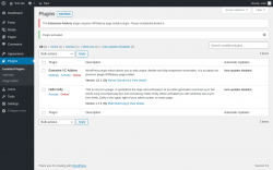 Page screenshot: Plugins &lsaquo; Test site &mdash; WordPress