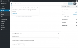 Page screenshot: Add New Page ‹ Test site — WordPress
