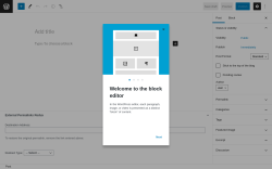 Page screenshot: Add New Post ‹ Test site — WordPress