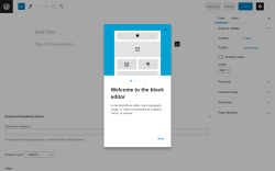 Page screenshot: Add New Page ‹ Test site — WordPress