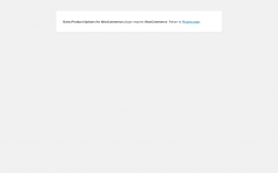 Page screenshot: WordPress › Error