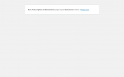 Page screenshot: WordPress › Error