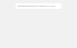 Page screenshot: WordPress › Error