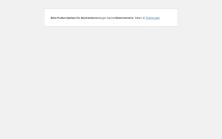 Page screenshot: WordPress › Error