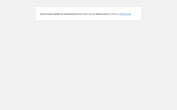 Page screenshot: WordPress › Error