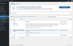 Page screenshot: Plugins &lsaquo; Test site &mdash; WordPress