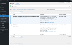 Page screenshot: Plugins &lsaquo; Test site &mdash; WordPress