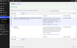 Page screenshot: Plugins &lsaquo; Test site &mdash; WordPress