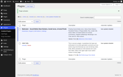 Page screenshot: Plugins &lsaquo; Test site &mdash; WordPress