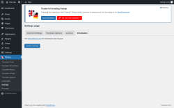 Page screenshot: Falang → Settings → Information