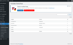 Page screenshot: Falang → Translate Terms/Taxo