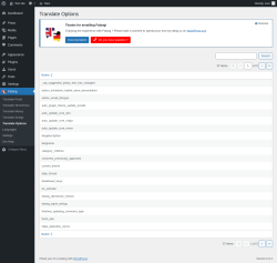 Page screenshot: Falang → Translate Options