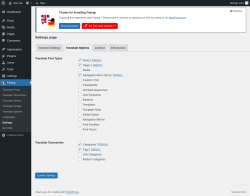 Page screenshot: Falang → Settings → Translate Options