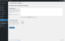 Page screenshot: Rank Math → Instant Indexing