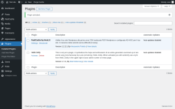 Page screenshot: Plugins &lsaquo; Test site &mdash; WordPress