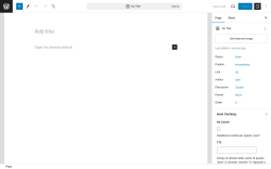 Page screenshot: Add New Page &lsaquo; Test site &mdash; WordPress