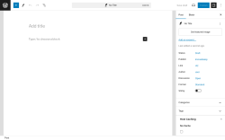 Page screenshot: Add New Post &lsaquo; Test site &mdash; WordPress