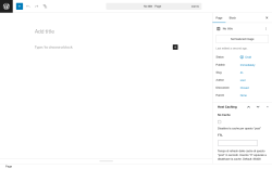 Page screenshot: Add Page &lsaquo; Test site &mdash; WordPress