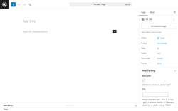 Page screenshot: Add Page &lsaquo; Test site &mdash; WordPress