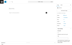 Page screenshot: Add Page &lsaquo; Test site &mdash; WordPress