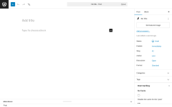 Page screenshot: Add Post &lsaquo; Test site &mdash; WordPress