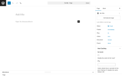 Page screenshot: Add Page &lsaquo; Test site &mdash; WordPress