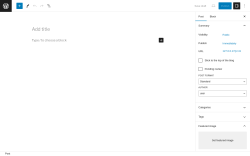 Page screenshot: Add New Post &lsaquo; Test site &mdash; WordPress