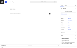 Page screenshot: Add Post &lsaquo; Test site &mdash; WordPress