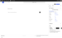 Page screenshot: Add Post &lsaquo; Test site &mdash; WordPress