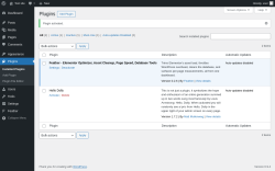 Page screenshot: Plugins &lsaquo; Test site &mdash; WordPress