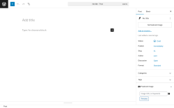 Page screenshot: Add Post ‹ Test site — WordPress