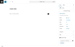 Page screenshot: Add Post ‹ Test site — WordPress