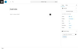 Page screenshot: Add Page ‹ Test site — WordPress