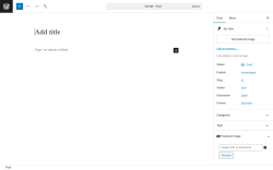 Page screenshot: Add Post ‹ Test site — WordPress