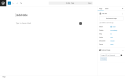 Page screenshot: Add Page &lsaquo; Test site &mdash; WordPress