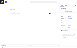 Page screenshot: Add Page &lsaquo; Test site &mdash; WordPress