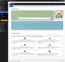 Page screenshot: FIFU Settings &lsaquo; Test site &mdash; WordPress