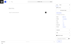Page screenshot: Add Post &lsaquo; Test site &mdash; WordPress