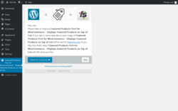 Page screenshot: WordPress › Error