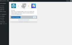 Page screenshot: Featured Product First For WooCommerce ‹ Test site — WordPress