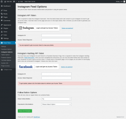Page screenshot: Feed Them → Instagram Options