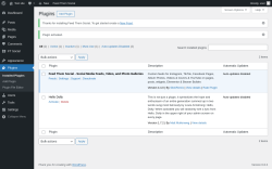 Page screenshot: Plugins ‹ Test site — WordPress