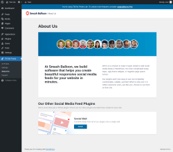 Page screenshot: TikTok Feeds &rarr; About Us